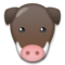 Jabalí