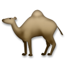 Dromedario