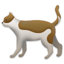 Gato
