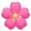 Flor De Cerezo
