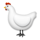 Gallina