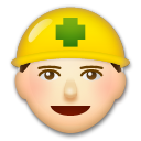 Profesional De La Construcción