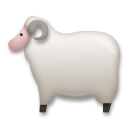 Oveja