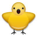 Pollito De Frente
