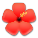 Flor De Hibisco