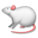 Ratón