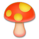Seta
