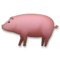 Cerdo