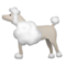 Caniche