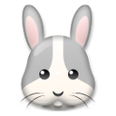 Cara De Conejo