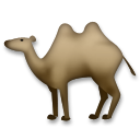 Camello