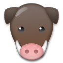 Jabalí