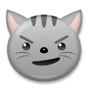 Gato Haciendo Una Mueca