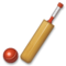 Críquet