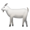 Cabra