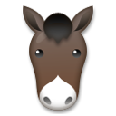 Cara De Caballo
