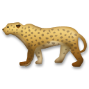 Leopardo