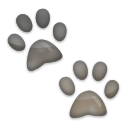 Huellas De Patas