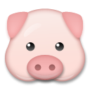 Cara De Cerdo