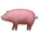 Cerdo