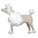 Caniche