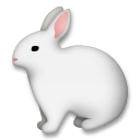 Conejo