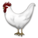 Gallo