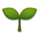 Planta Joven