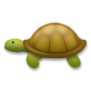 Tortuga