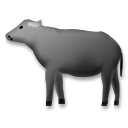 Búfalo De Agua