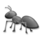 Ant
