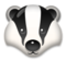 Badger