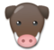Boar