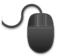 Computer Mouse