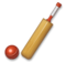 Cricket Game