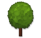 Deciduous Tree