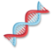 DNA DNA
