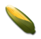 Ear of Corn