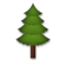 Evergreen Tree