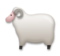 Ewe