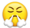 Face with Steam From Nose