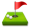Flag in Hole
