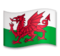 Flag: Wales Flag: Wales