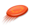 Flying Disc