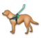Guide Dog
