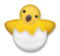 Hatching Chick