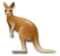 Kangaroo