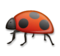Lady Beetle