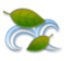 Leaf Fluttering in Wind