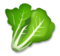 Leafy Green